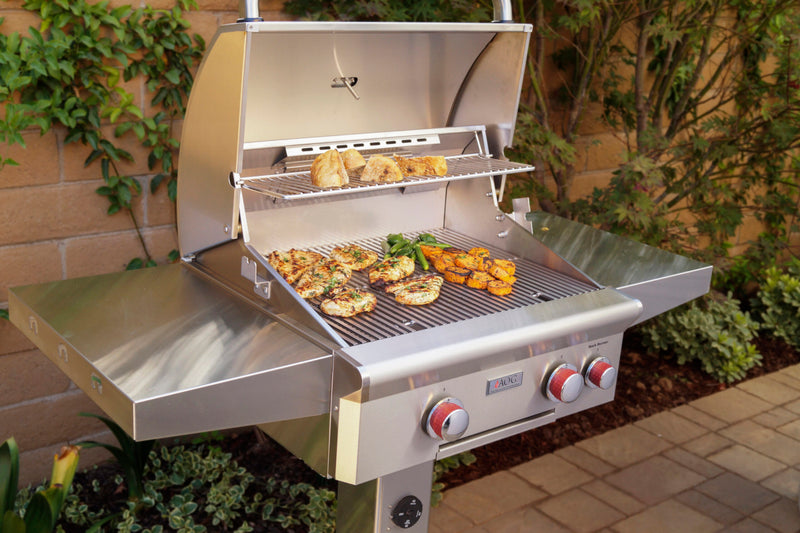 American Outdoor Grill L/T-Series 24-in Stainless Steel 2 Burner Natural Gas Grill on In Ground Post