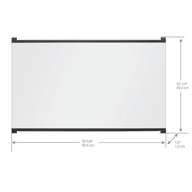 Dimplex 39-in Single Pane Glass Door for Dimplex Deluxe BF39DXP (Firebox NOT included)