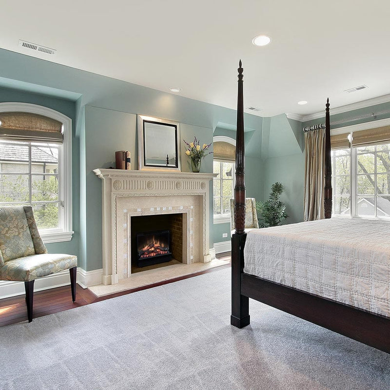 Dimplex Deluxe 23" Electric Fireplace Insert