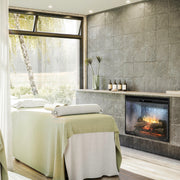 Dimplex Revillusion 30-in Electric Firebox